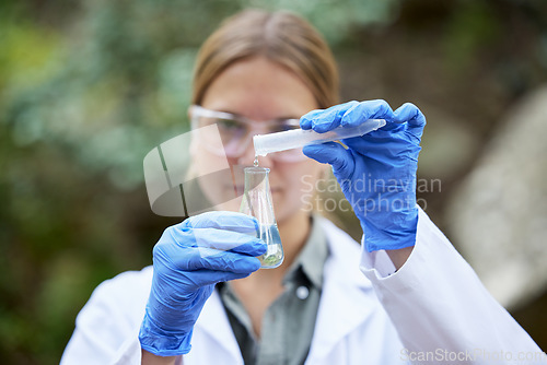 Image of Forest, research and scientist test water sample for inspection of the ecosystem and environment study. Science, sustainable and woman professional environmentalist doing carbon footprint exam