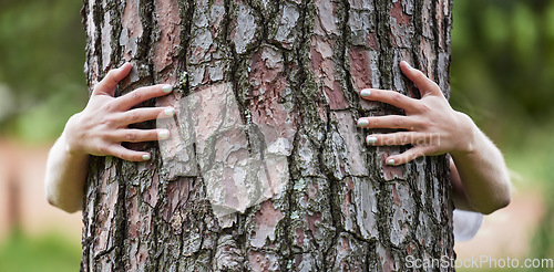Image of Hands, hug tree and sustainability in woods, nature or earth day for care, love or accountability. Woman, embrace and climate change protest for deforestation, countryside or environment in Argentina
