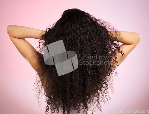 Image of Hair, beauty and back of woman with hairstyle transformation and curly texture. Model, salon treatment and haircut shine in a studio with pink background and cosmetics with keratin and growth care