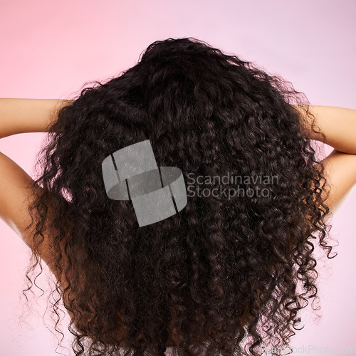 Image of Hair, beauty and back of person with hairstyle transformation and curly texture. Model, salon treatment and haircut shine in a studio with pink background and cosmetics with keratin and growth care