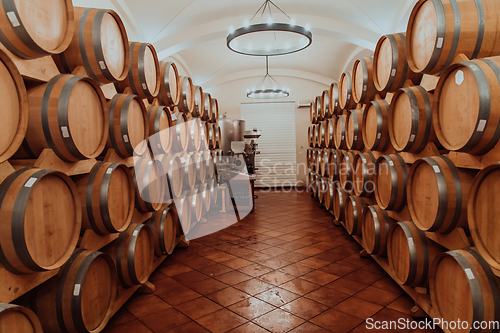 Image of Wine or cognac barrels in the cellar of the winery, Wooden wine barrels in perspective. Wine vaults.Vintage oak barrels of craft beer or brandy.