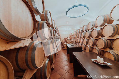 Image of Wine or cognac barrels in the cellar of the winery, Wooden wine barrels in perspective. Wine vaults.Vintage oak barrels of craft beer or brandy.