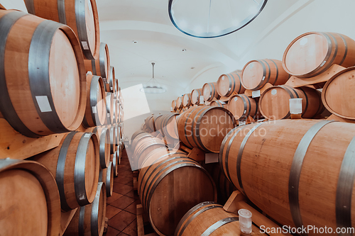 Image of Wine or cognac barrels in the cellar of the winery, Wooden wine barrels in perspective. Wine vaults.Vintage oak barrels of craft beer or brandy.