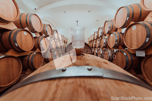 Image of Wine or cognac barrels in the cellar of the winery, Wooden wine barrels in perspective. Wine vaults.Vintage oak barrels of craft beer or brandy.