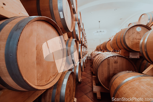 Image of Wine or cognac barrels in the cellar of the winery, Wooden wine barrels in perspective. Wine vaults.Vintage oak barrels of craft beer or brandy.