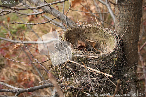 Image of nest