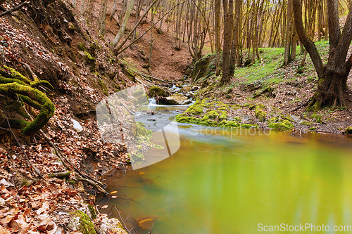 Image of beautiful wild river in Apuseni mountains