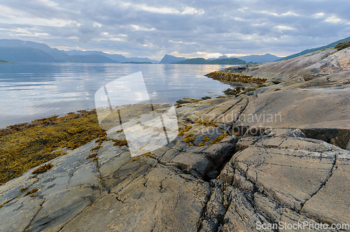 Image of rock formation by the sea with seaweed