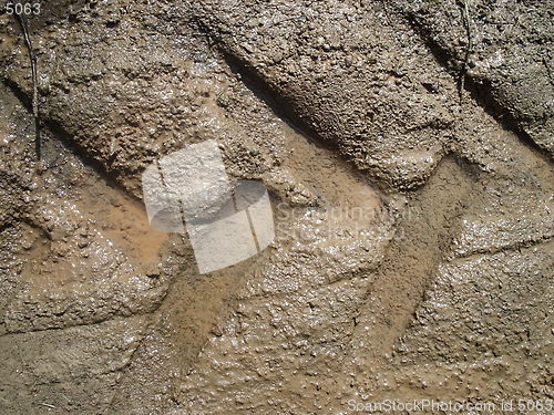 Image of Wheel track fulled of water