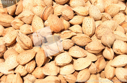 Image of almond background