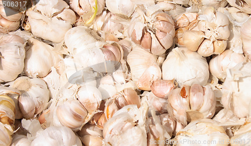 Image of garlic background