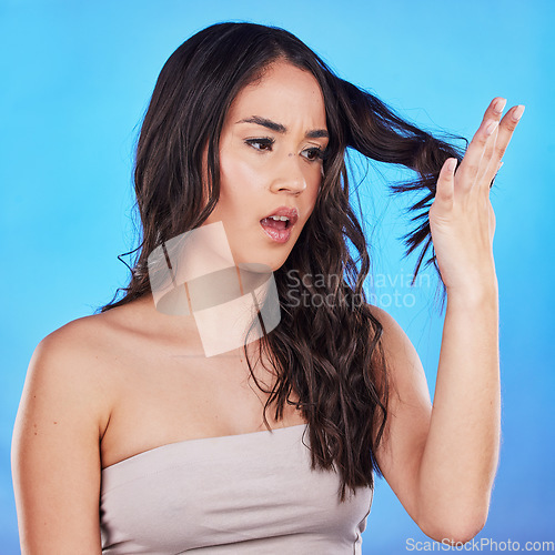 Image of Hair, problem and woman with worry or damage in blue studio background with mistake or spilt ends. Haircare, cosmetics and girl with keratin treatment for dry texture or fail with growth for repair.