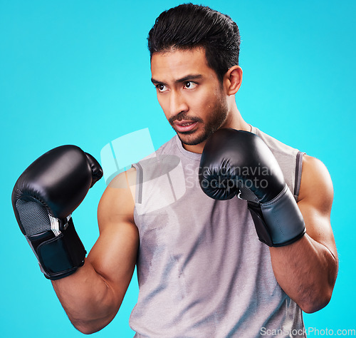 Image of Boxing, man and fighter training, sports and energy against a blue studio background. Asian person, boxer or serious athlete with power, strong and challenge with workout gloves, fight or competition