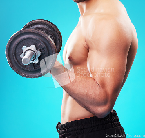 Image of Weightlifting, fitness and person doing health training, exercise or workout isolated in studio blue background. Bodybuilder, wellness and young man with dumbbell for body or bicep strength endurance