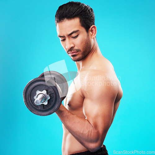 Image of Weightlifting, fitness and man with dumbbell training, exercise or workout isolated in a studio blue background. Bodybuilder, wellness and healthy young person doing body or bicep strength endurance