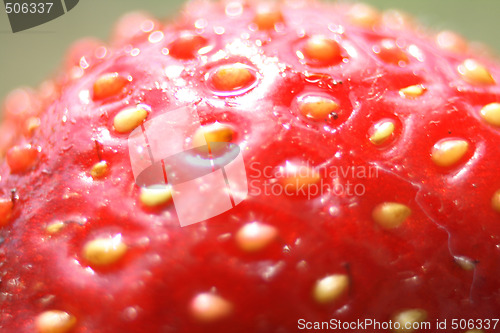 Image of strawberry