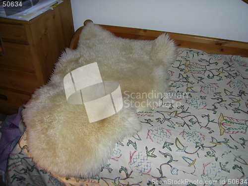 Image of Sheep fur