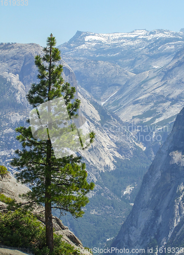 Image of Yosemite National Park