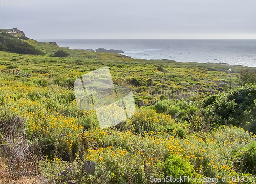 Image of idyllic coastal scenery in California