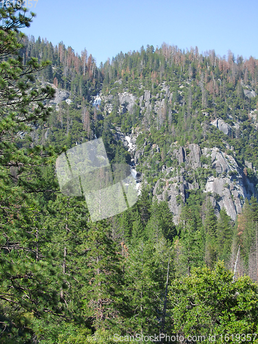 Image of Yosemite National Park