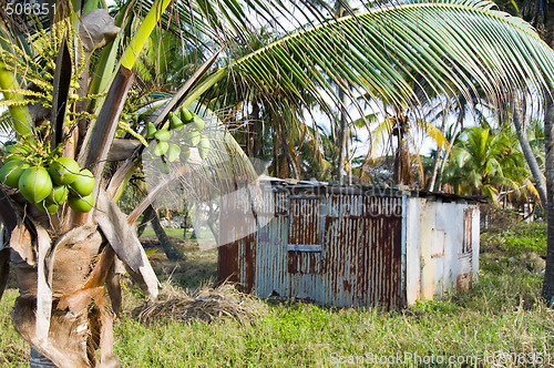 Image of typical house corn island nicaragua