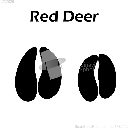 Image of Red Deer Footprint