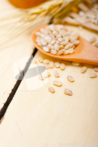 Image of organic barley grains