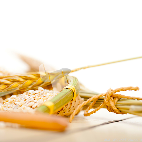 Image of organic barley grains