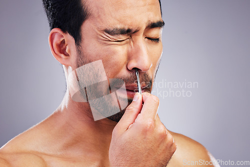 Image of Plucking hair, nose and a man with tweezers for grooming, hygiene and beauty on a studio background. Pain, face and an Asian person with tools for cosmetics or facial care isolated on a backdrop