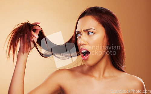 Image of Hair, damaged and a woman in studio for salon, hairdresser and split end treatment. Stress, upset and shocked aesthetic model person with dry texture or worry hairstyle crisis on a brown background