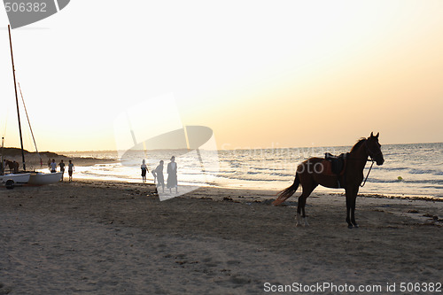 Image of beach