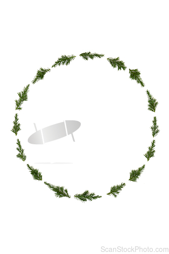 Image of Juniper Fir Winter Christmas Wreath