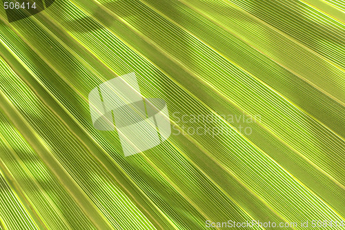 Image of green background