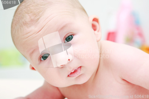 Image of Baby portrait