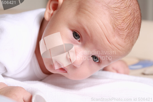 Image of Baby portrait