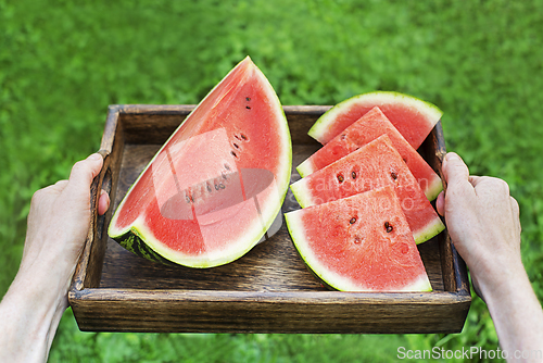 Image of Watermelon