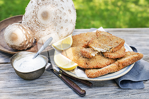 Image of Macrolepiota procera fried