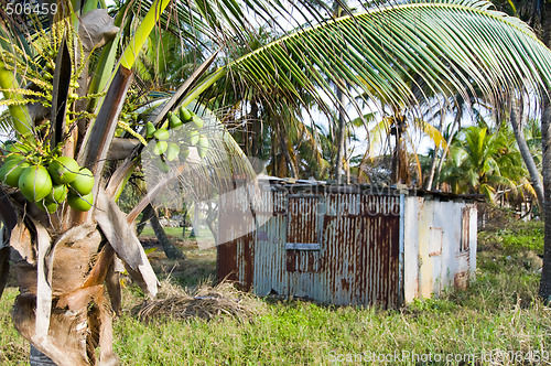 Image of typical house corn island nicaragua