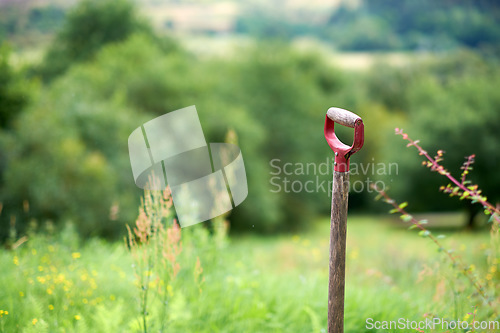 Image of Denmark nature, countryside and environment. Nature in the Kingdom of Denmark.