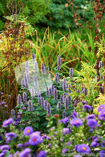 Image of Denmark nature, countryside and environment. Nature in the Kingdom of Denmark.