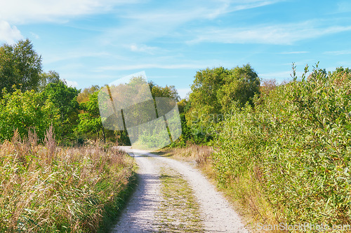 Image of Denmark nature, countryside and environment. Nature in the Kingdom of Denmark.