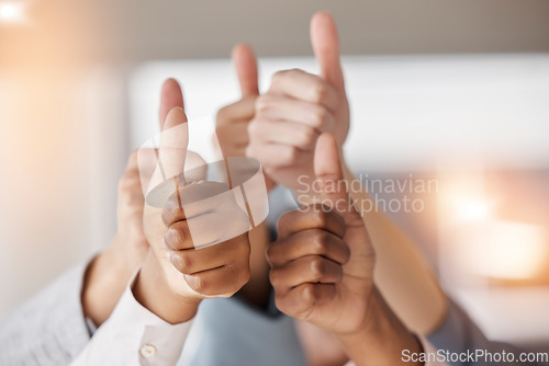 Image of Thumbs up, business people and hands for success, teamwork and vote yes to show support. Closeup, employees and group with thumb sign, like emoji and thank you for trust, agreement and winning goals