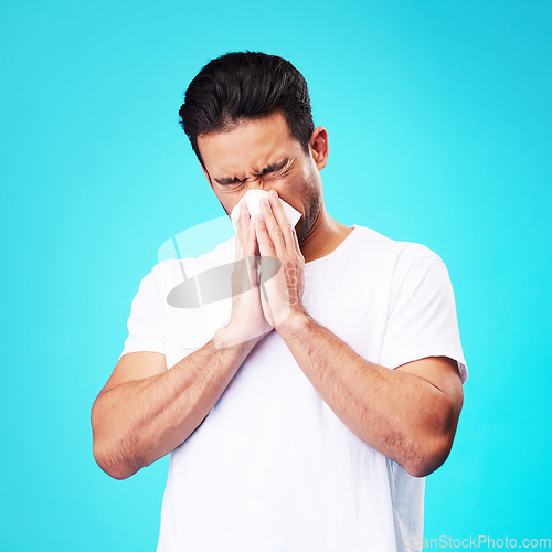 Image of Tissue, nose and man in studio for sick allergy, cold and influenza on blue background. Asian male model sneeze wit hayfever, allergies and infection of virus bacteria, health care and congestion