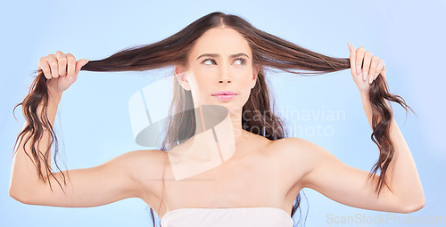 Image of Thinking, woman and damaged hair in studio with cosmetics, haircare or confused face for beauty, problem or split ends. Frustrated, girl and ideas for hairstyle in salon or growth on blue background