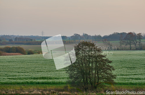 Image of Denmark nature, countryside and environment. Nature in the Kingdom of Denmark.