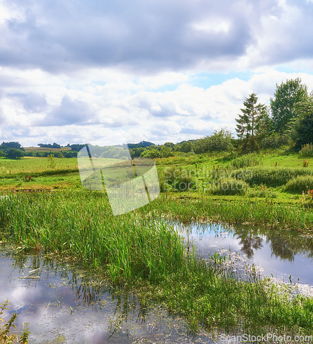 Image of Denmark nature, countryside and environment. Nature in the Kingdom of Denmark.