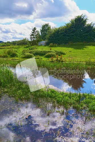 Image of Denmark nature, countryside and environment. Nature in the Kingdom of Denmark.