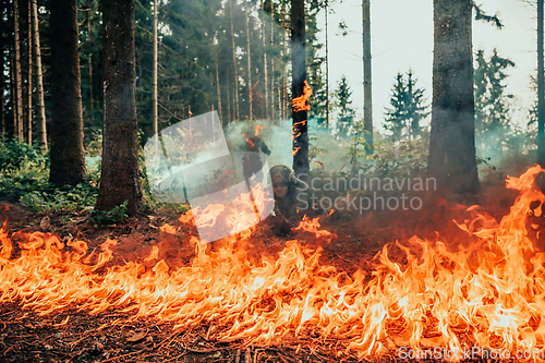 Image of Modern warfare soldiers surrounded by fire fight in dense and dangerous forest areas