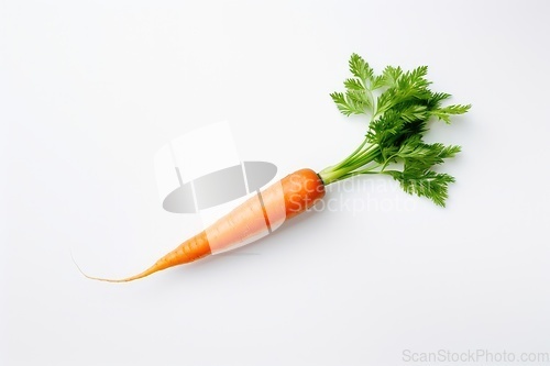 Image of Fresh carrot on white