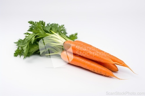 Image of Fresh carrots on white